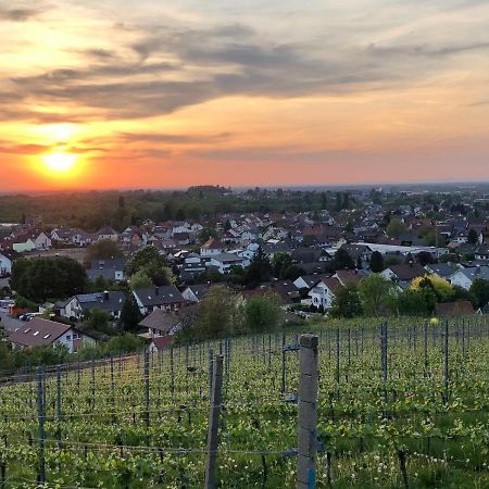 Linde Oberachern Bagian luar foto