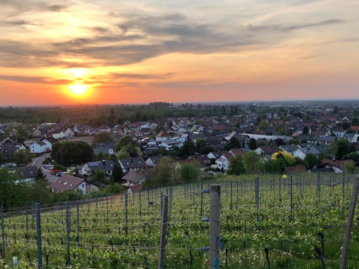 Linde Oberachern Bagian luar foto