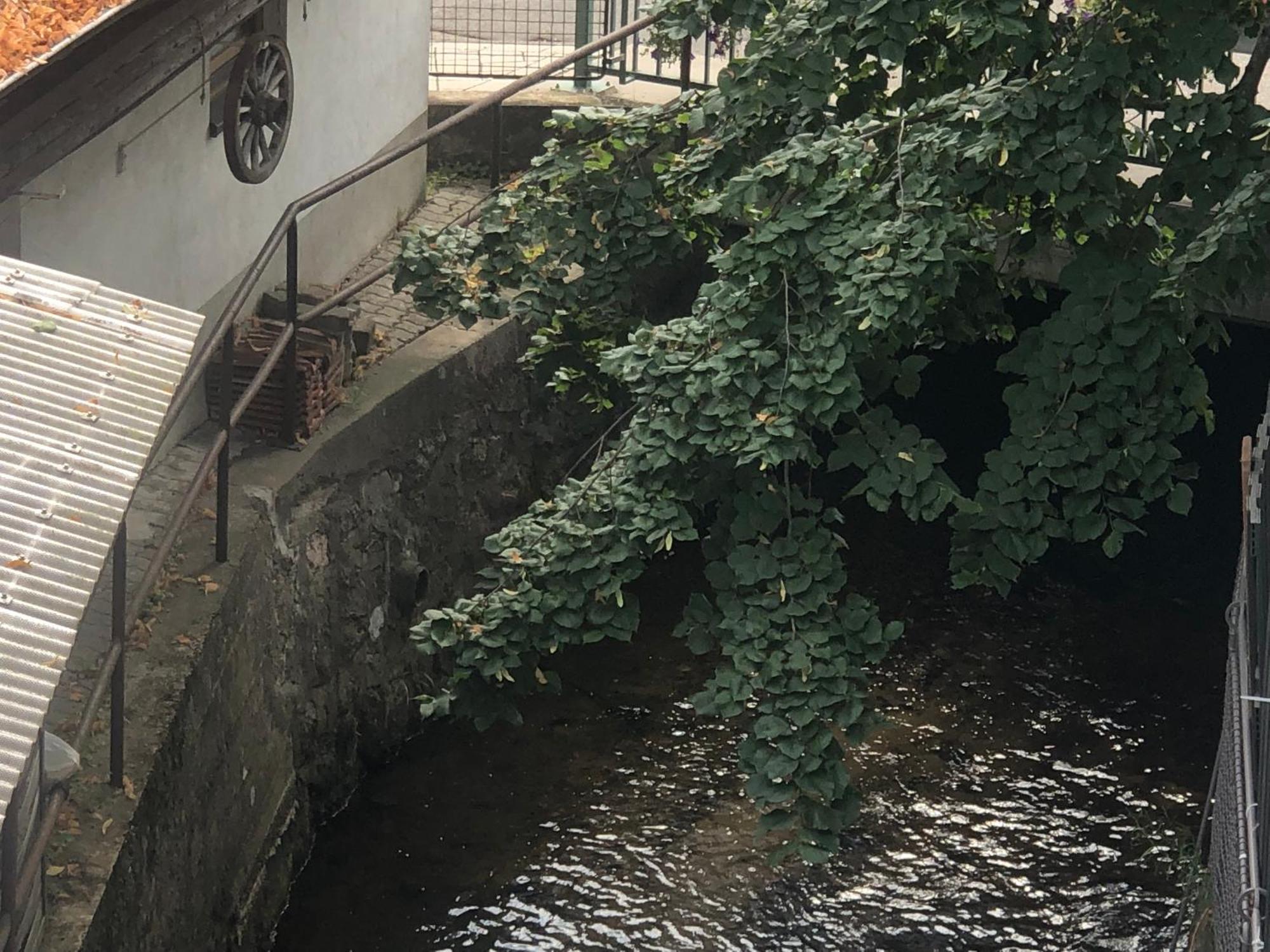 Linde Oberachern Ruang foto